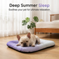 ⏰LAST DAY SALE 50% OFF!!❄Pawchill Pet Cooling Mat for Dogs & Cats 🐾  Naturally Cool Ice-Silk Pad • Breathable, Washable & Soft 🌿  For Floors, Sofas & Car Travel • Multiple Sizes • Gradient Colours ☀️🐶🐱