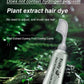 🔥Buy 1 Get 1 Free🔥Fruit Essence Hair Dyeing Comb