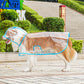 🌧️ Clear Dog Raincoat