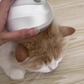 💕Ultimate Pet Comfort Massager
