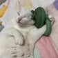 💕Ultimate Pet Comfort Massager