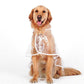 🌧️ Clear Dog Raincoat