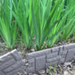 🔥Brick-look garden fence