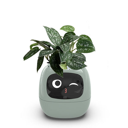 Fun Smart Flowerpot with Multiple Expressions, Plant-Free