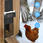 Solar Automatic Chicken Coop Door