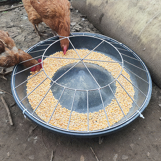 ⏰Limited stock available—grab yours now!🐓Large-Capacity Round Poultry Feeder Bowl