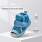 🔥 Last Day Special Price💥⚡Lightweight Mesh Anti-Slip Pet Dog Boots ☀️🐶 | Indoor & Outdoor All Terrain Use🐾