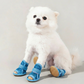 🔥 Last Day Special Price💥⚡Lightweight Mesh Anti-Slip Pet Dog Boots ☀️🐶 | Indoor & Outdoor All Terrain Use🐾