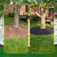 10M Landscape Edging Plastic Roll with 30 PCS  Spikes