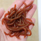 Simulation Earthworm Soft Fishing Lures Shrimp Scented Artificial Worm Baits for Freshwater and Saltwater Pack of 50 or 100