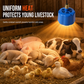 🐣 LIMITED‑TIME 50% OFF! 🌡️ Intelligent Brooder Heater – Adjustable Temperature & Fan-Assisted Warmth for Chicks 🔥
