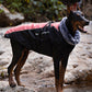 Waterproof Warm Vest Jacket for Dog