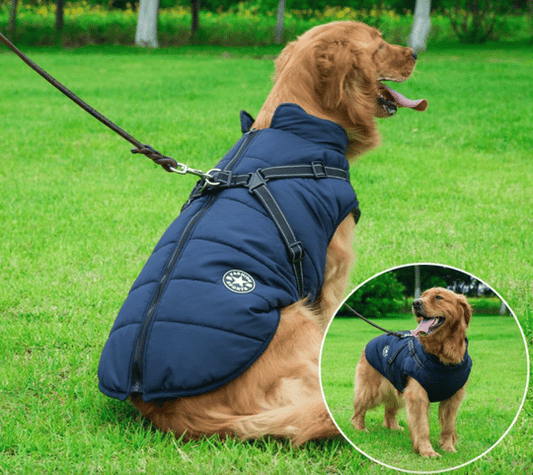 🐕Pet Gifts🎁Waterproof winter dog  jacket with built-in harness