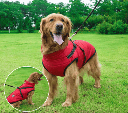 🐕Pet Gifts🎁Waterproof winter dog  jacket with built-in harness